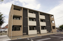 アルストロメリア　ＮＥの画像