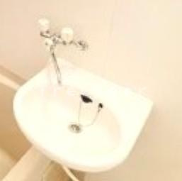 ロワジール貫井シー(ロワジール貫井C)の洗面所