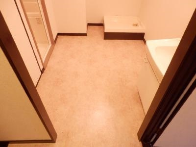 ロイヤルコーポの内装|脱衣所