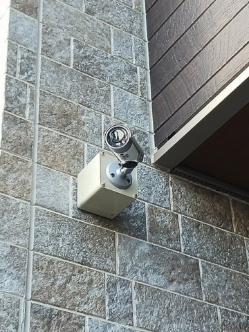 オリーブのセキュリティ