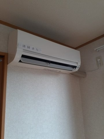 セレーノのその他