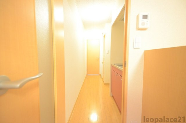 レオネクストグレースハイムⅢのその他|設備・使用は号室により異なる為、現況を優先致します。