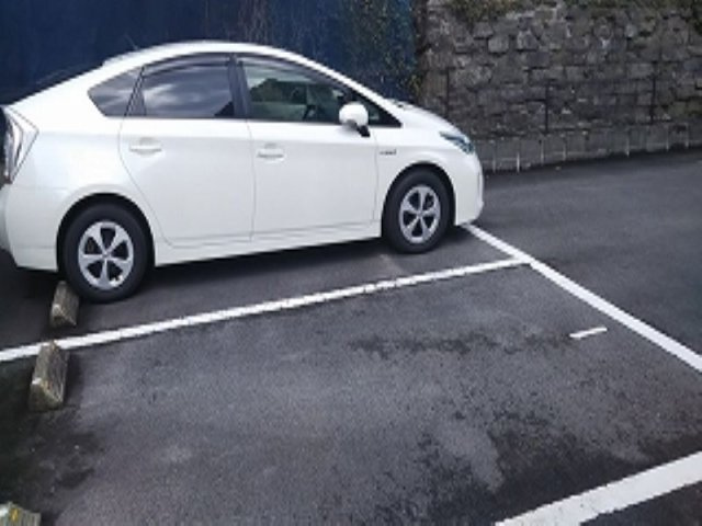 レオネクストブルーゼファーのその他