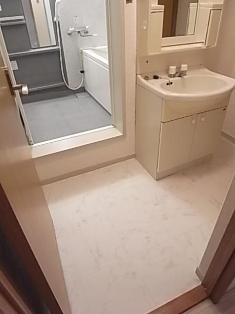 秀和桜丘レジデンスの洗面所