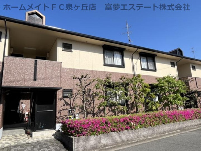 【ロビー】 | ドミール