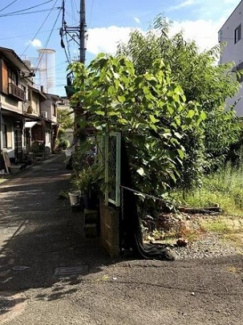 【外観】 | 右京区嵯峨野宮ノ元町　建築条件なし