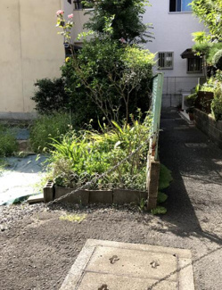 【外観】 | 右京区嵯峨野宮ノ元町　建築条件なし