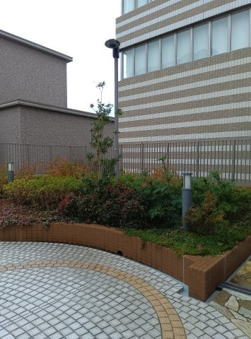 ジオタワー西宮北口のその他