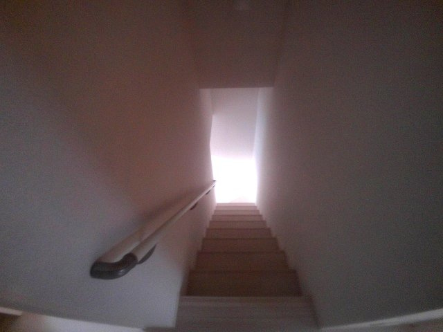 キングスヒルズのその他