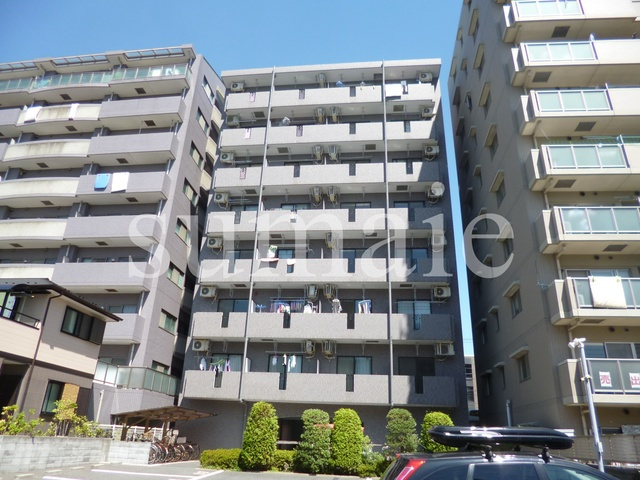 ハオスローレライ