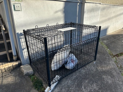 【その他共用部分】 | カーサ・ローザ