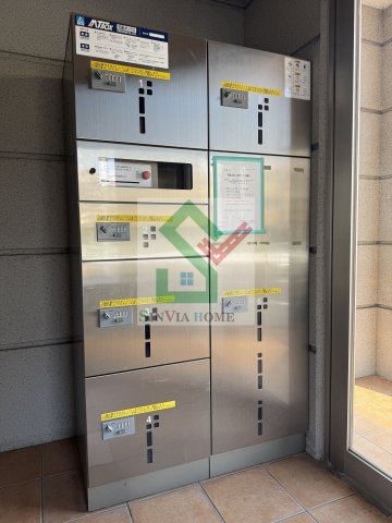 プリマヴェーラエルモッサのその他