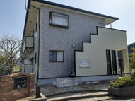 サニー　ヴィオラの画像