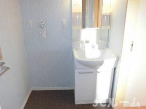 シャーメゾン石橋 Cの洗面所