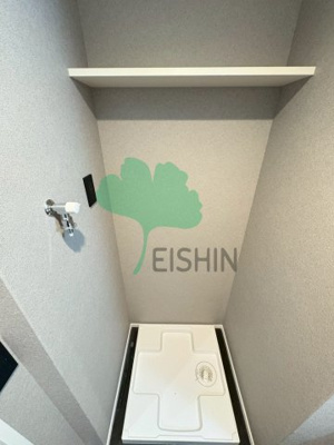  | RAY GRAYD shinonome