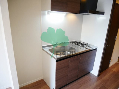  | LANDIC S4173（ランディックS4173）