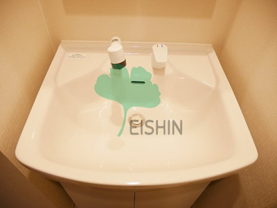  | LANDIC S4173（ランディックS4173）