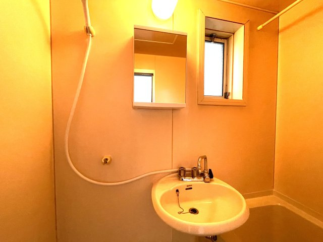 ベルテ東金の洗面所