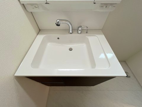 福生市福生　新築戸建全2棟の洗面所|暮らしを快適に変えるシャワー付洗面台。