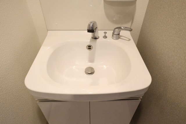 ラドゥセールシンオオサカの洗面所