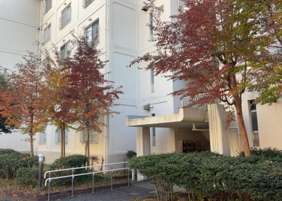 【受付】 | グリーンヒル寺田第２住宅 | 受付はマンションコンシェルジュがいる場合もあれば、管理人が滞在する小部屋を総称して呼ぶことがあります。主にエントランスに設置されていることから、防犯面でも期待ができます。防犯設備がない場合はより安心！