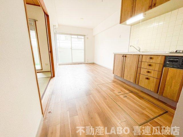 ピカソ平野のその他