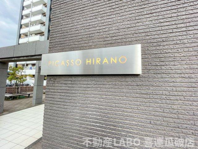 ピカソ平野のその他