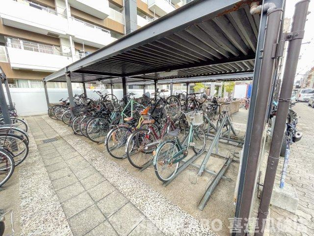 ピカソ平野のその他