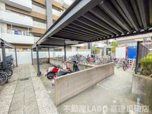 ピカソ平野のその他