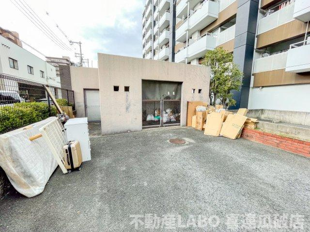 ピカソ平野のその他