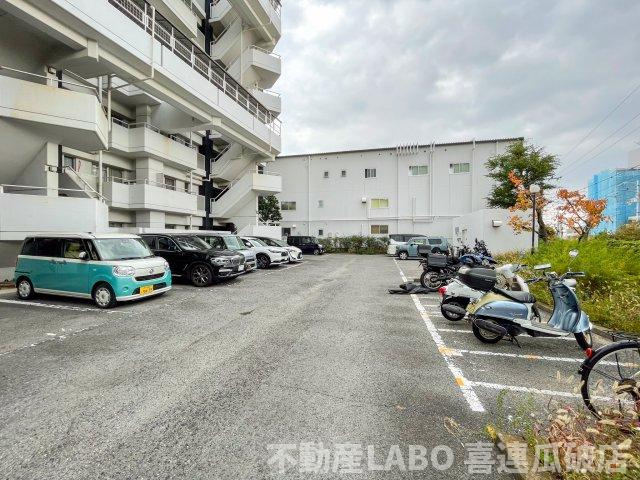 ピカソ平野のその他