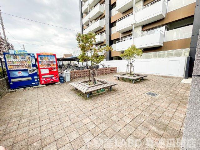 ピカソ平野のその他