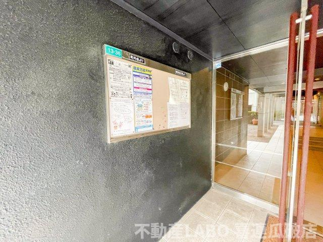 ピカソ平野のその他