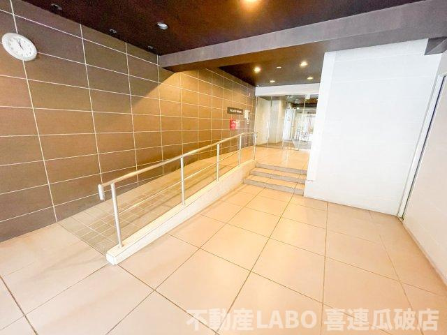 ピカソ平野のその他