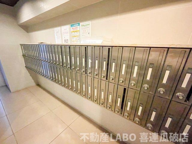 ピカソ平野のその他