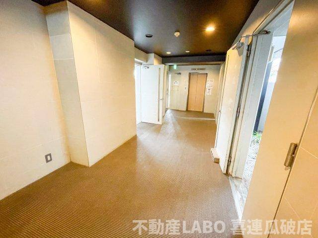 ピカソ平野のその他