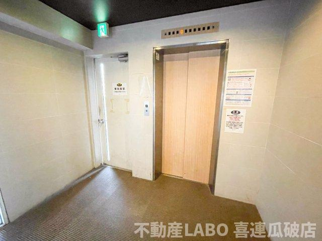 ピカソ平野のその他