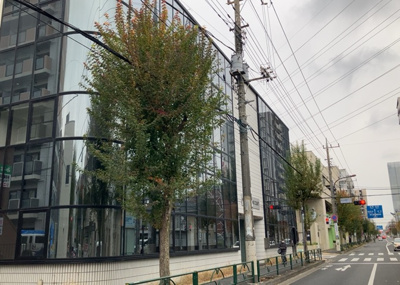 【外観】 | 中町セカンドコート | 家を建てる前提で土地を探している場合、地盤の丈夫さは譲れない条件の一つです。地盤が脆弱だと追加工事が必要となります。また、過去に地盤沈下や液状化現象を起こした土地は、できるだけ避けた方がいいでしょう。