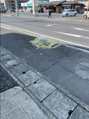 【周辺】 | セジュールのつ