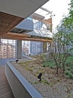 港区南麻布５丁目の賃貸マンションのその他|空中庭園