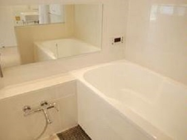 港区南麻布５丁目の賃貸マンションの浴室