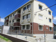 コットンパレスの画像