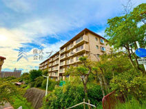 中落合第一住宅453号棟の画像