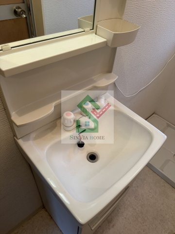 グランドメゾン1号館の洗面所