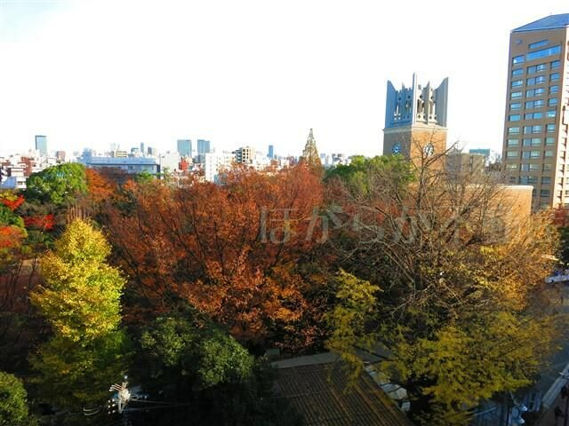 フラットワセダの展望