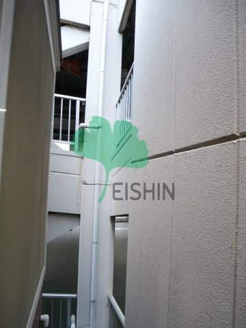 ヤマトドリームの展望