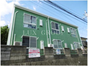 エステートヒマワリの画像