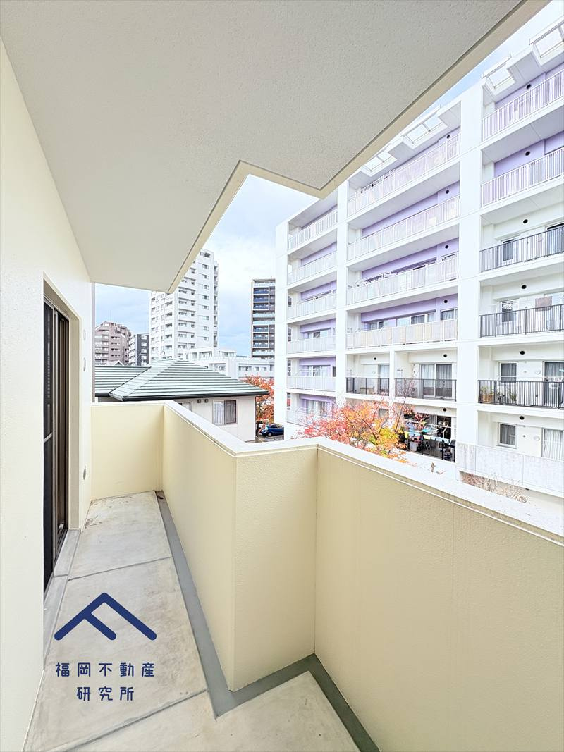 アルフィーネ大橋Ⅱの展望