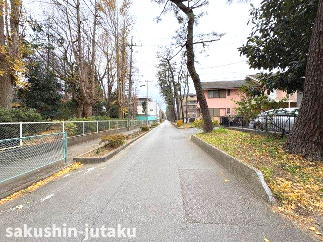 東習志野３丁目　売地の前面道路含む現地写真|東南側１０ｍ公道面