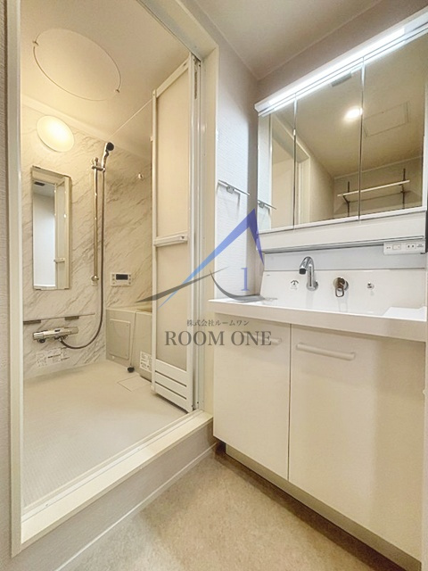 Stella Daitabashi（ステラ代田橋）の洗面所|洗面台です。